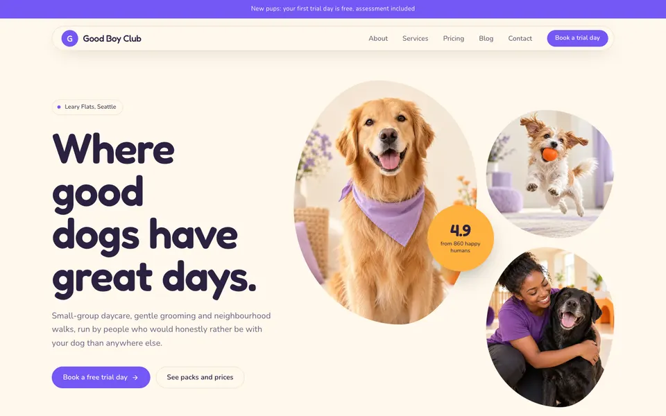 Good Boy Club, dog daycare and grooming template